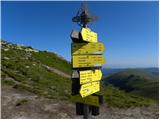 Koglereck - Großer Speikkogel (Golica / Koralpe)